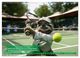Thumbnail-2