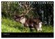 Thumbnail-13