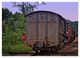 Thumbnail-8