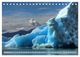 Thumbnail-7