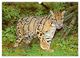 Thumbnail-9