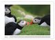 Thumbnail-9