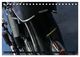 Thumbnail-13