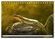 Thumbnail-9