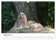 Thumbnail-11