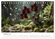 Thumbnail-12