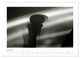 Thumbnail-11
