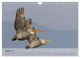 Thumbnail-10