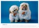 Thumbnail-12