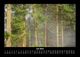 Thumbnail-11