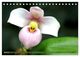 Thumbnail-10
