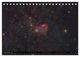 Thumbnail-11
