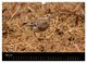 Thumbnail-10