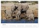 Thumbnail-11