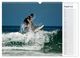 Thumbnail-10