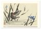 Thumbnail-2