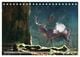 Thumbnail-13