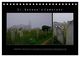 Thumbnail-13