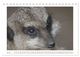 Thumbnail-10
