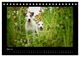 Thumbnail-10