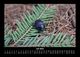 Thumbnail-11