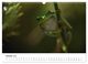Thumbnail-12