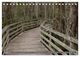 Thumbnail-12