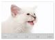 Thumbnail-9