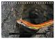 Thumbnail-10