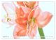 Thumbnail-10