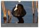 Thumbnail-12