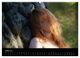 Thumbnail-11