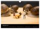Thumbnail-14