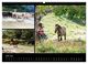 Thumbnail-12