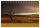 Thumbnail-11