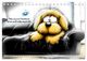 Thumbnail-3
