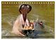 Thumbnail-10