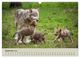Thumbnail-11