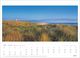 Thumbnail-11