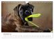 Thumbnail-13