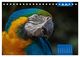 Thumbnail-10