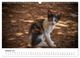 Thumbnail-12