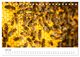 Thumbnail-12