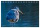 Thumbnail-14