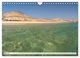 Thumbnail-8