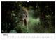 Thumbnail-10