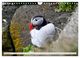 Thumbnail-14