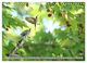Thumbnail-11