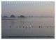 Thumbnail-11