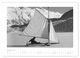 Thumbnail-13